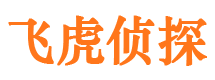 平罗市侦探调查公司